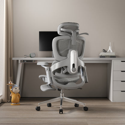 Aerlume Sylph Ergonomic Chair