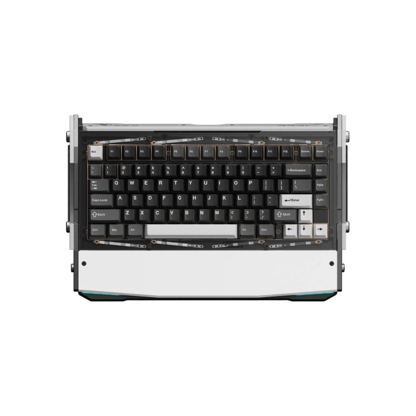 Alpine White