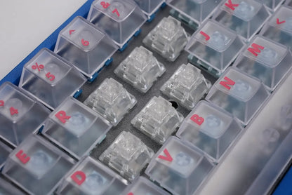 TTC Frozen Silent Switch V2 Keyboard Switches