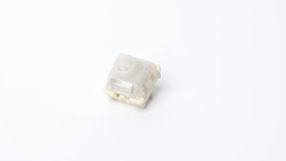 WS Flux Magnetic HE Switches