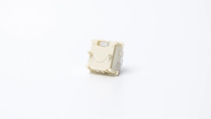 WS Flux Magnetic HE Switches