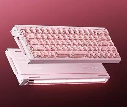 Peachy Pink / Mount Tai Magnetic Switch GT