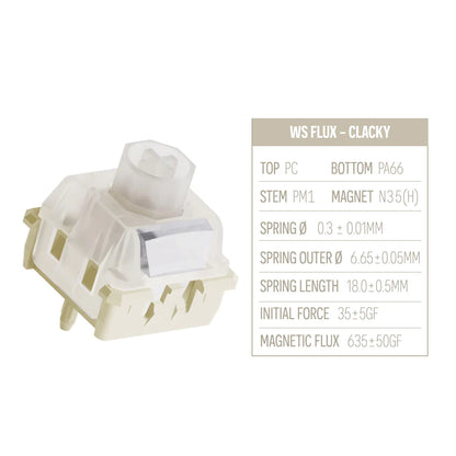 WS Flux Magnetic HE Switches