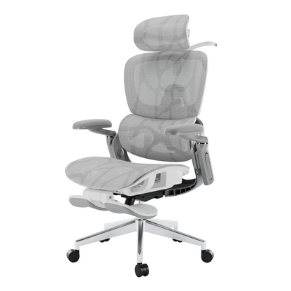 Aerlume Sylph Ergonomic Chair